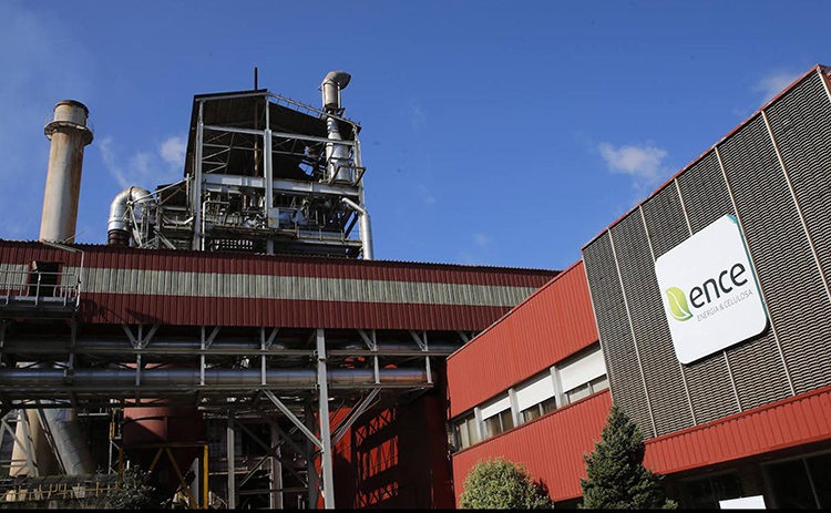 La biofbrica de Ence en Navia incrementa el empleo durante la crisis sanitaria