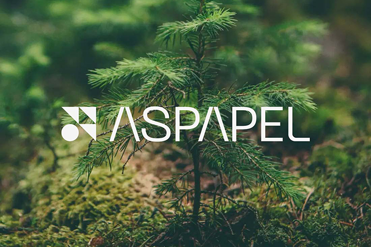 La industria papelera española reduce un 29% sus emisiones de CO2 desde 2020 y consolida su avance en materia de sostenibilidad